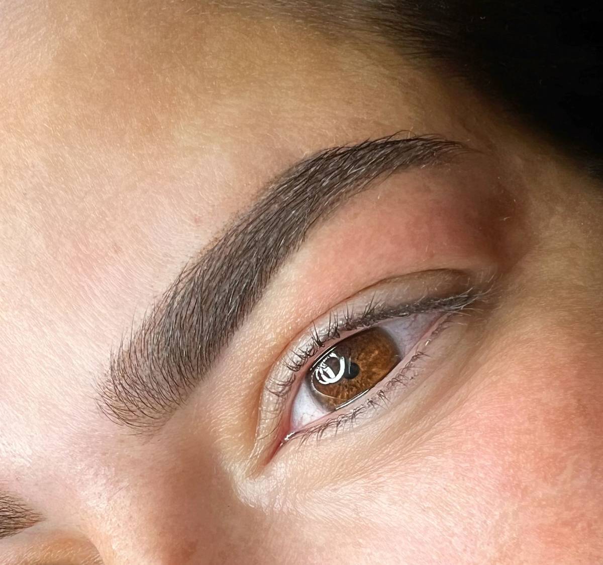 Powderbrows van dichtbij, zacht verloop naar de aanzet